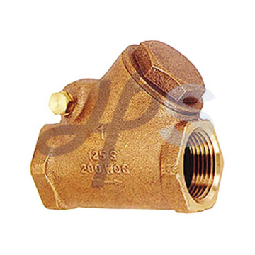 brass Y angle swing check valve